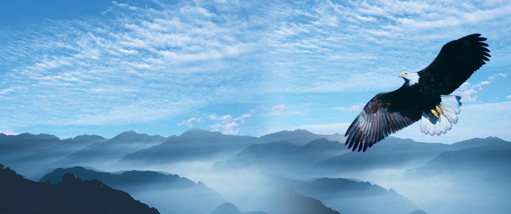 易初電線電纜文化 易初電線電纜文化